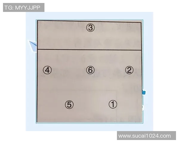 上海排球队反击体系解析:战术布局与执行的完美结合